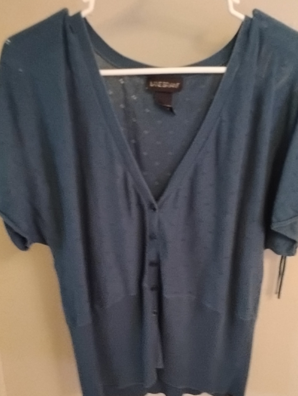 Lane Bryant Teal V-Neck Short Sleeve Sweater